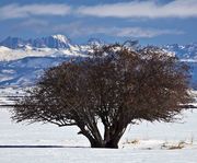 Solitude. Photo by Dave Bell.