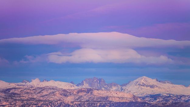 Bonneville Pink Cap. Photo by Dave Bell.