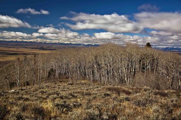 Looking Back Across The Basin To The Wyoming Range. Photo by Dave Bell.