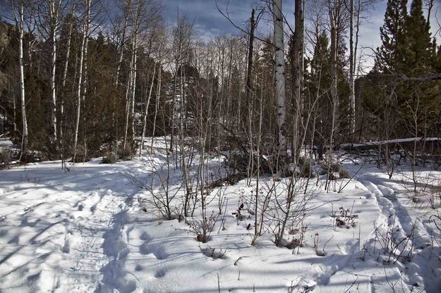 Boulder Canyon Trail. Photo by Dave Bell.