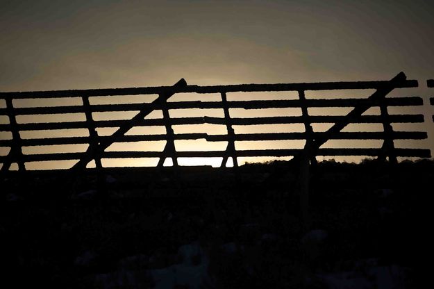 Silouette. Photo by Dave Bell.