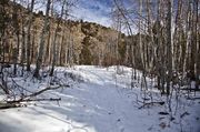 Boulder Canyon. Photo by Dave Bell.