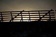 Silouette. Photo by Dave Bell.