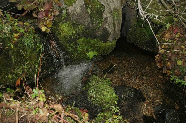 Waterfall Pond. Photo by Dave Bell.