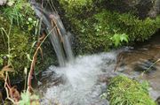 Small Water Falls. Photo by Dave Bell.