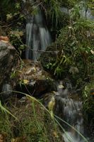 Small Tumbling Water--Two Falls. Photo by Dave Bell.