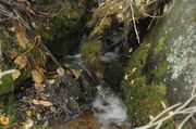 Water and Rocks. Photo by Dave Bell.