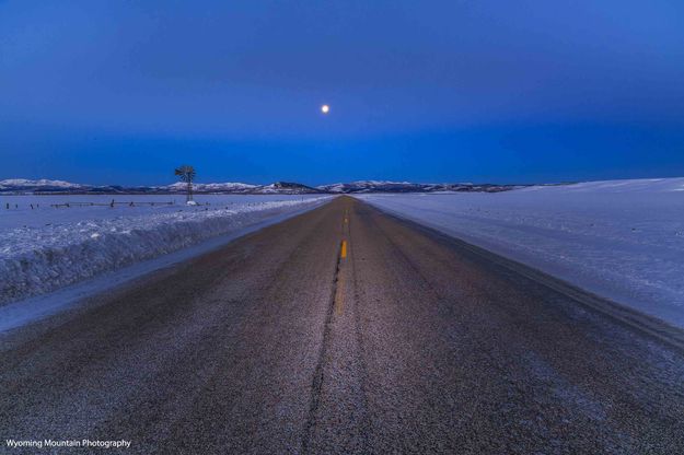 Full Speed Ahead. Photo by Dave Bell.