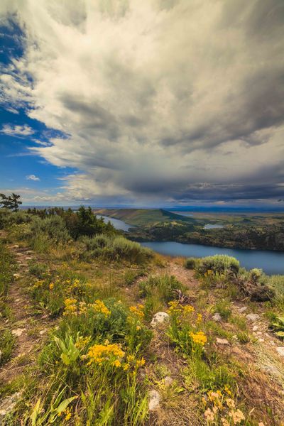 Approaching Thunderstorm. Photo by Dave Bell.