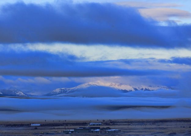 Foggy Morn. Photo by Dave Bell.