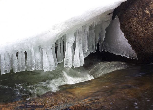 Stalagticicle. Photo by Dave Bell.