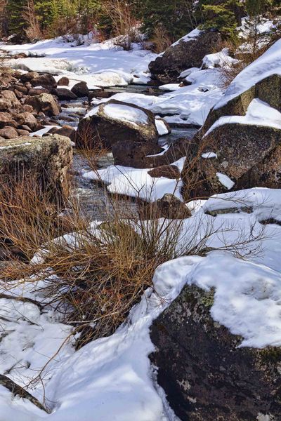 Snowy Bottom. Photo by Dave Bell.