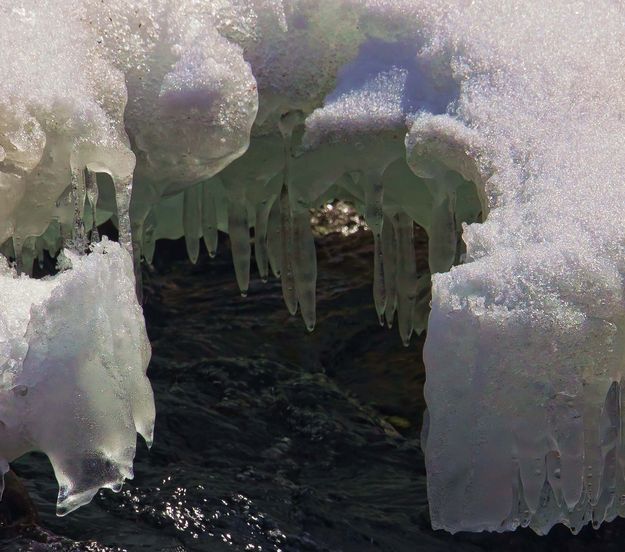 Green Icicles. Photo by Dave Bell.