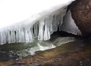 Stalagticicle. Photo by Dave Bell.