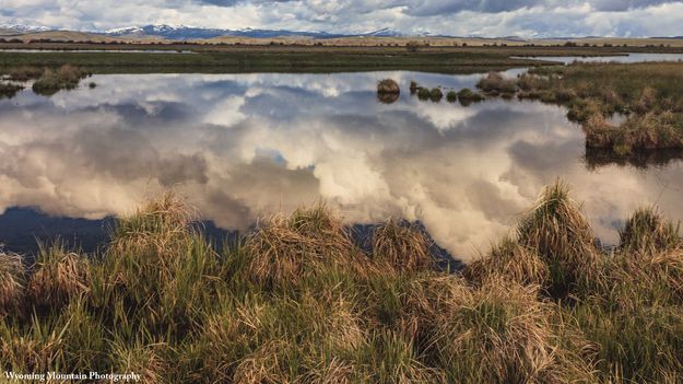 Complete Reflection. Photo by Dave Bell.