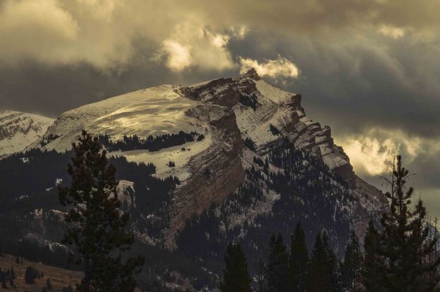 Direct Sunlight On White Rock. Photo by Dave Bell.