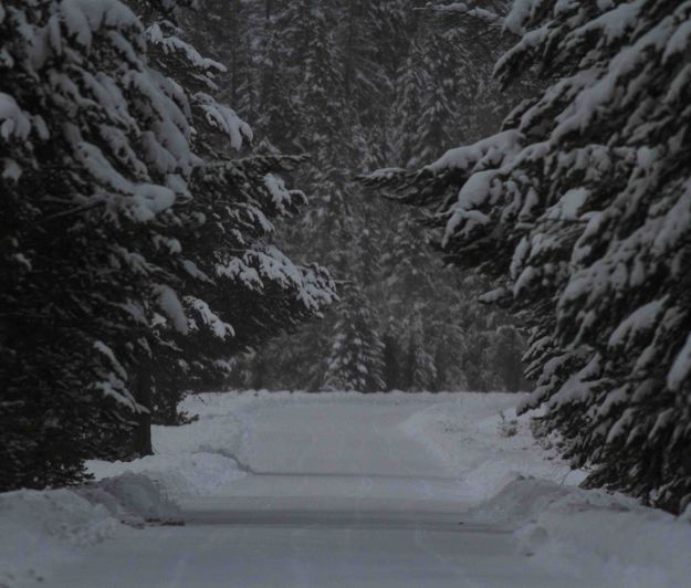 County Road. Photo by Dave Bell.