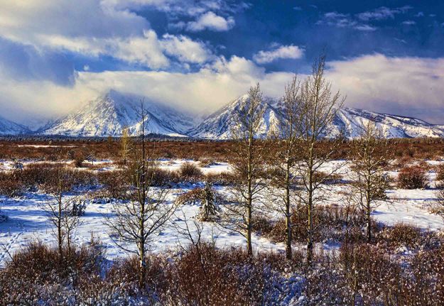 Northern Teton Range. Photo by Dave Bell.