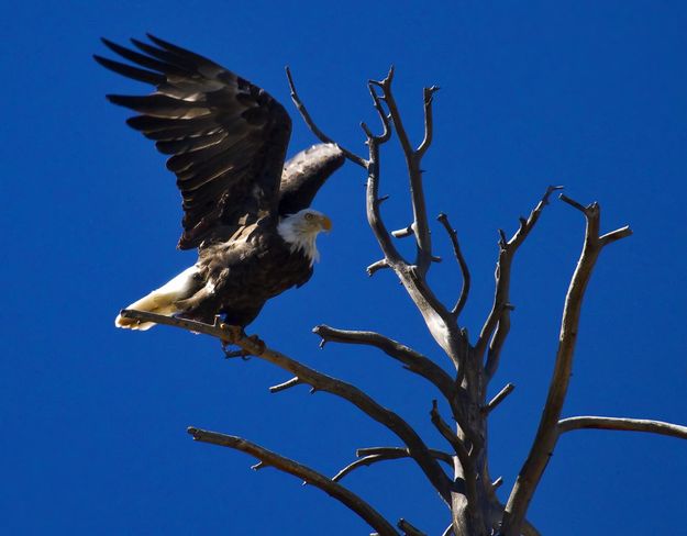 Time To Go. Photo by Dave Bell.