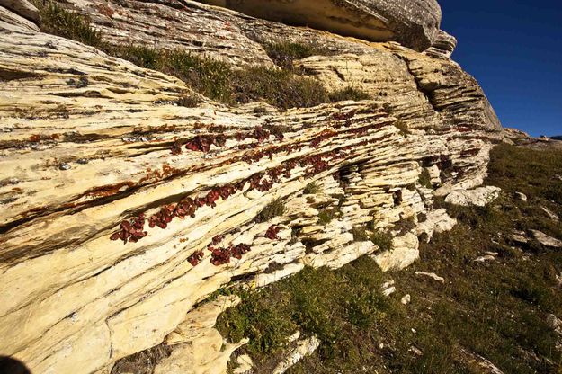 Limestone Cracks. Photo by Dave Bell.