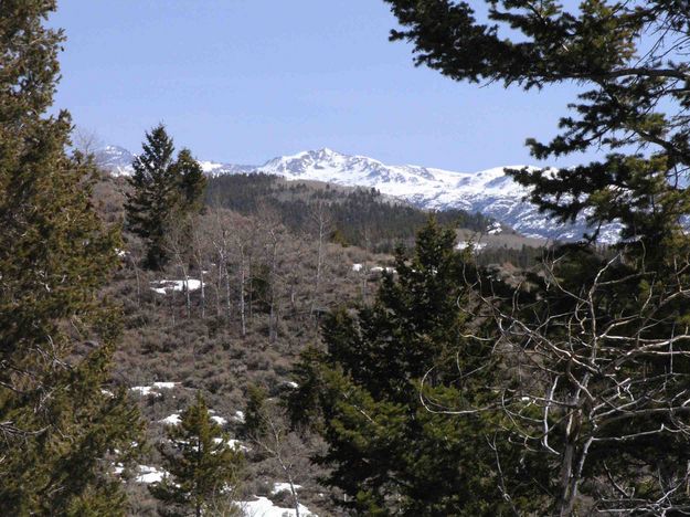 Mountains Framed. Photo by Dave Bell.