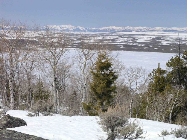 South End Of Willow Lake. Photo by Dave Bell.