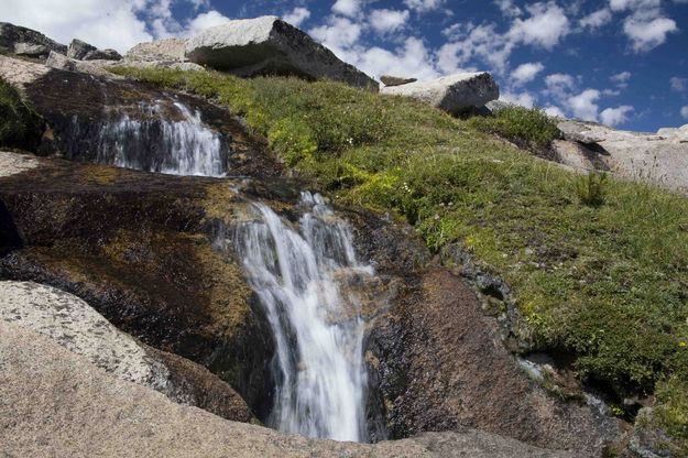 Gorgeous Mountain Stream. Photo by Dave Bell.