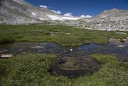 Swampy Tarn. Photo by Dave Bell.