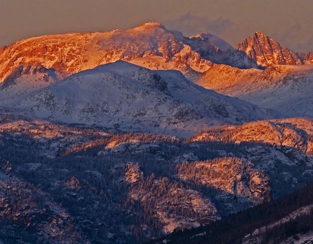 Golden Light. Photo by Dave Bell.