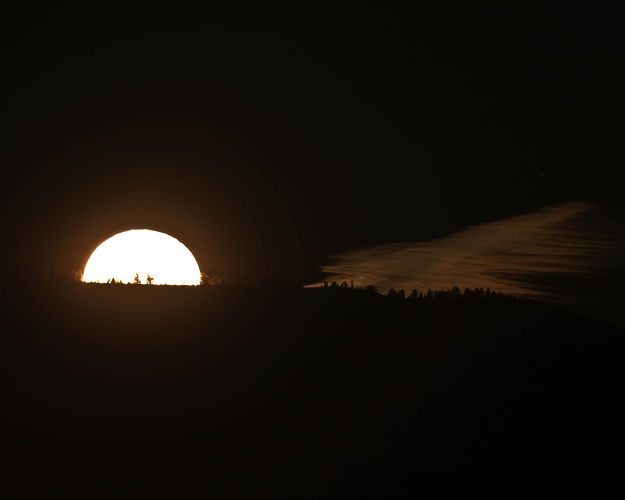 White Orb!. Photo by Dave Bell.