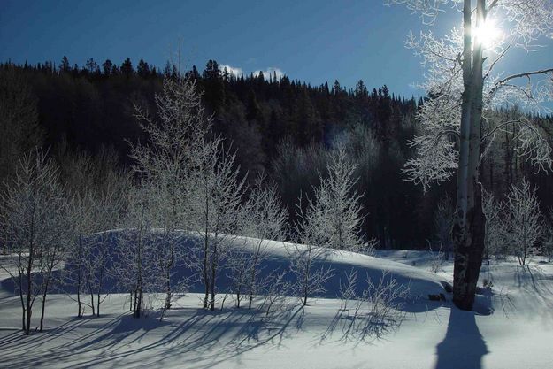 Frosty Thanksgiving 2003. Photo by Dave Bell.