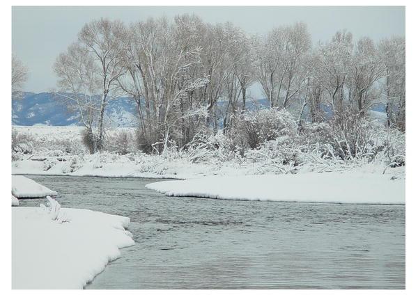 New Fork River. Photo by Dave Bell.