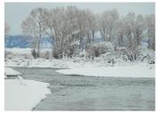 New Fork River. Photo by Dave Bell.