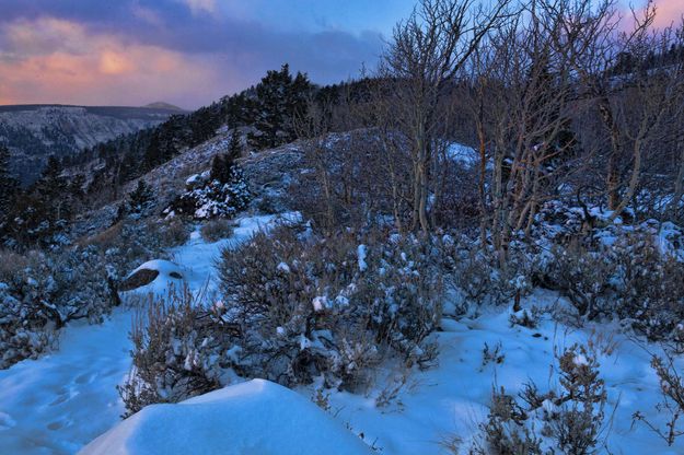 Sundown Light Tones. Photo by Dave Bell.