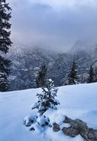 Snowy Pine Creek Canyon. Photo by Dave Bell.