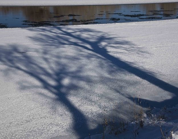 Winter Shadows On Frozen Green. Photo by Dave Bell.