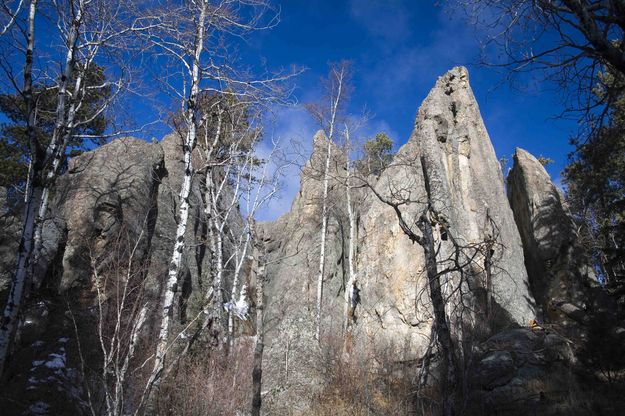 Black Hills Granite 