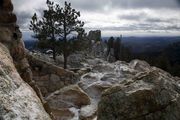 Harney Peak Granite. Photo by Dave Bell.