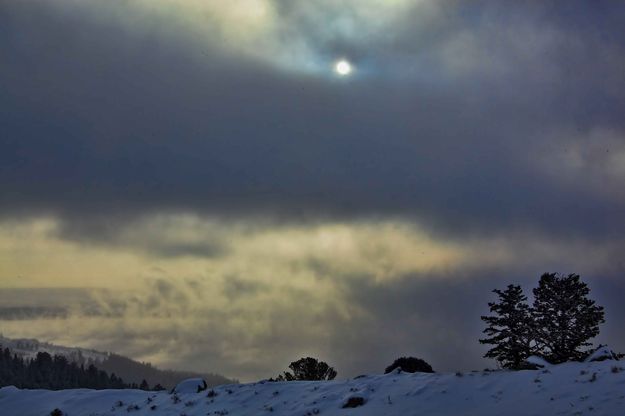 Steamy Light. Photo by Dave Bell.