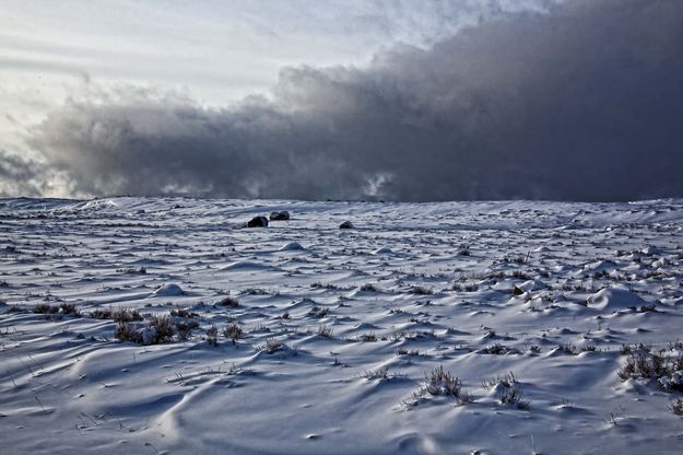 Fremont Lake Steam Cloud. Photo by Dave Bell.