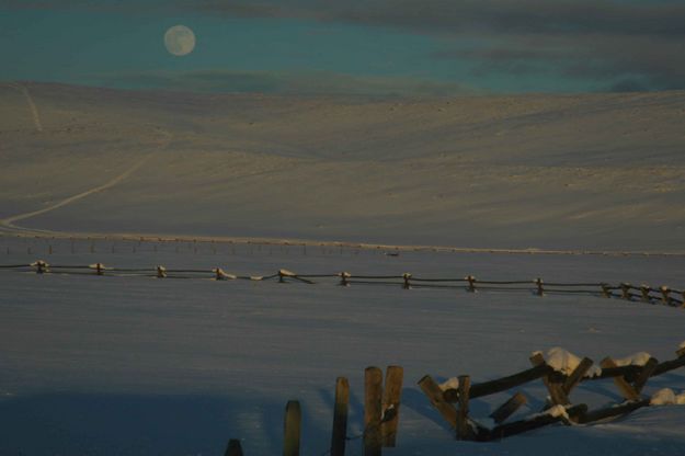 Moon Rise Near Loomis Park. Photo by Dave Bell.