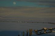 Moon Rise Near Loomis Park. Photo by Dave Bell.