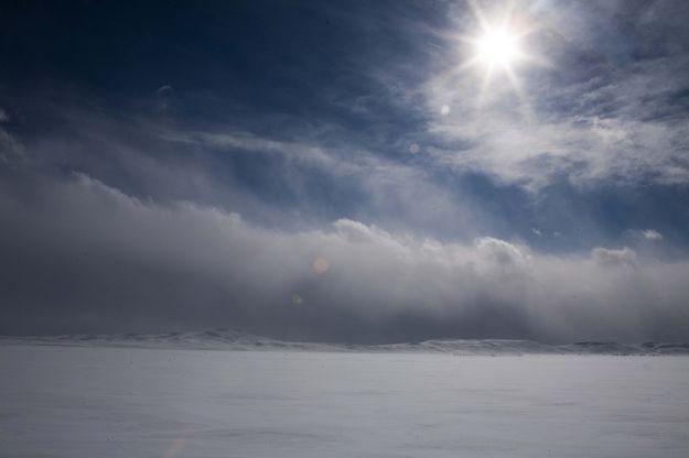 Untracked. Photo by Dave Bell.