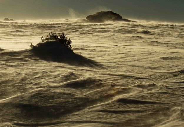 Alien Landscape. Photo by Dave Bell.