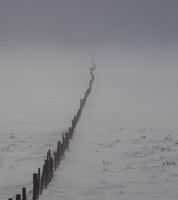 Disappearing Fence Line. Photo by Dave Bell.