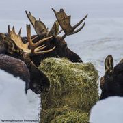 Crowded. Photo by Dave Bell.