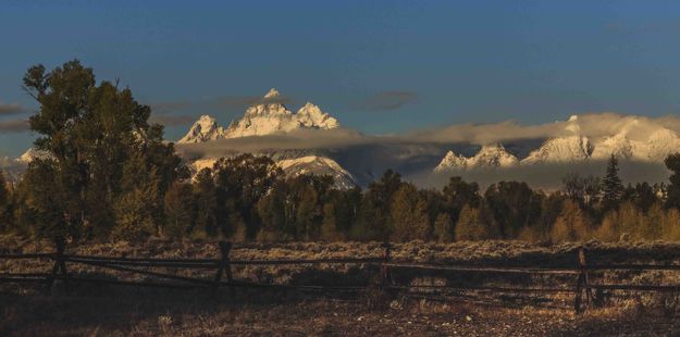 Teton White. Photo by Dave Bell.