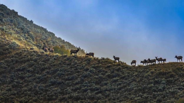 Ridgeline Silhouette. Photo by Dave Bell.