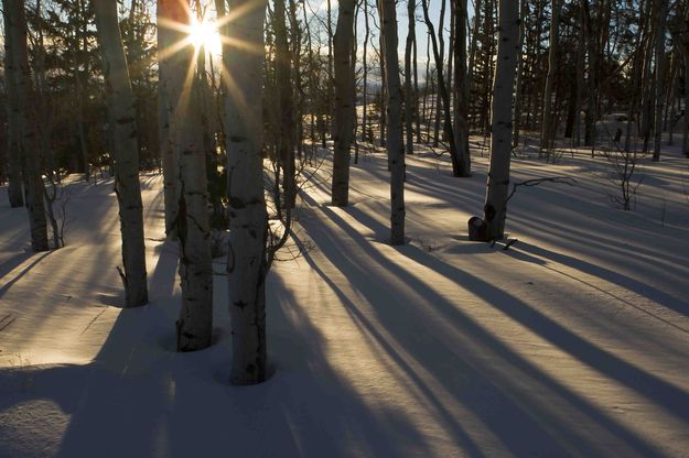 Solar Flare. Photo by Dave Bell.