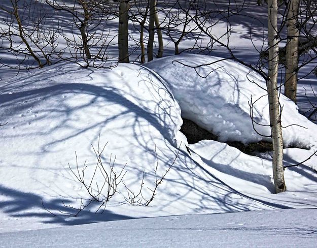 Shadows. Photo by Dave Bell.